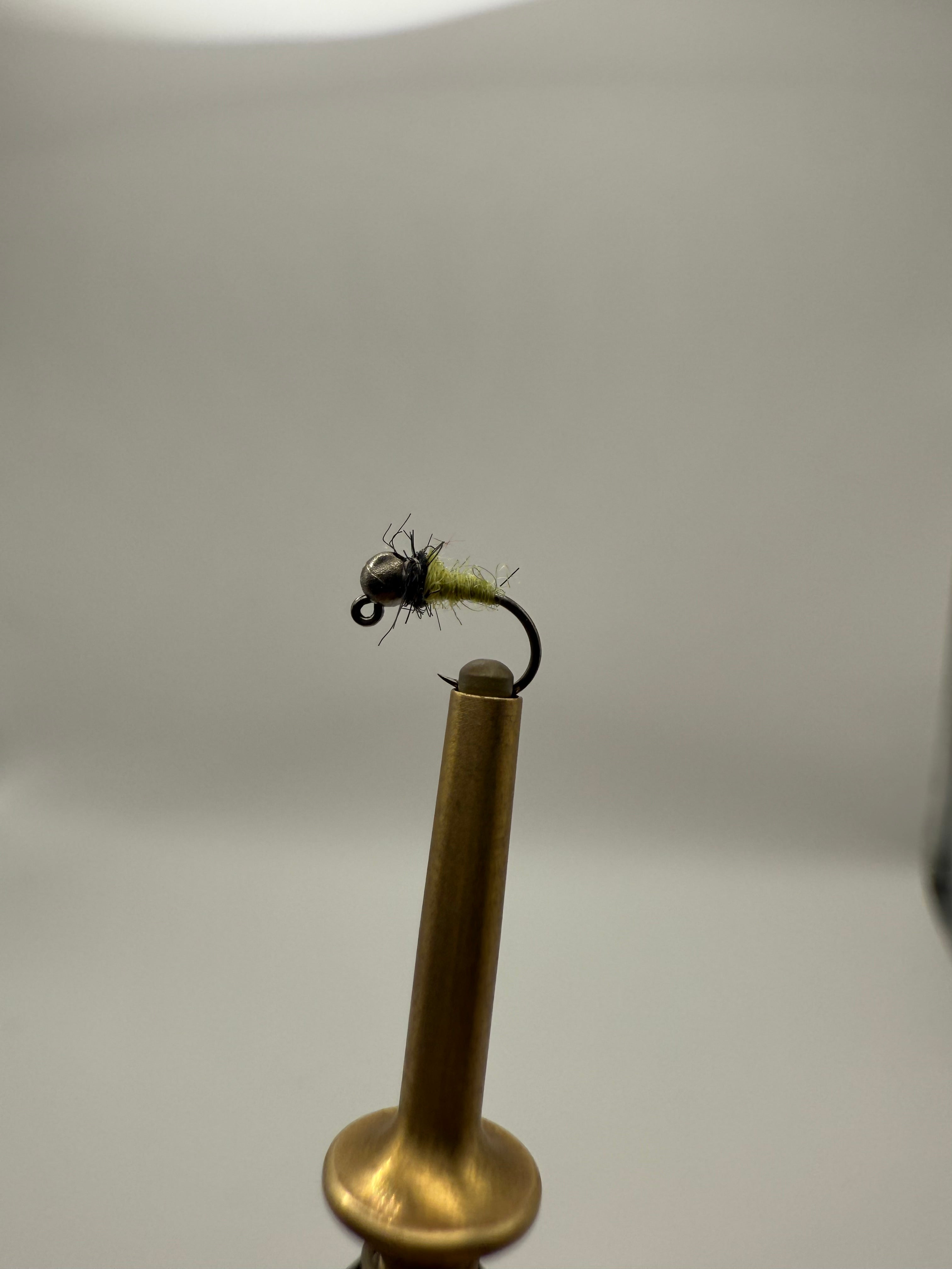 Simple Caddis Larvae