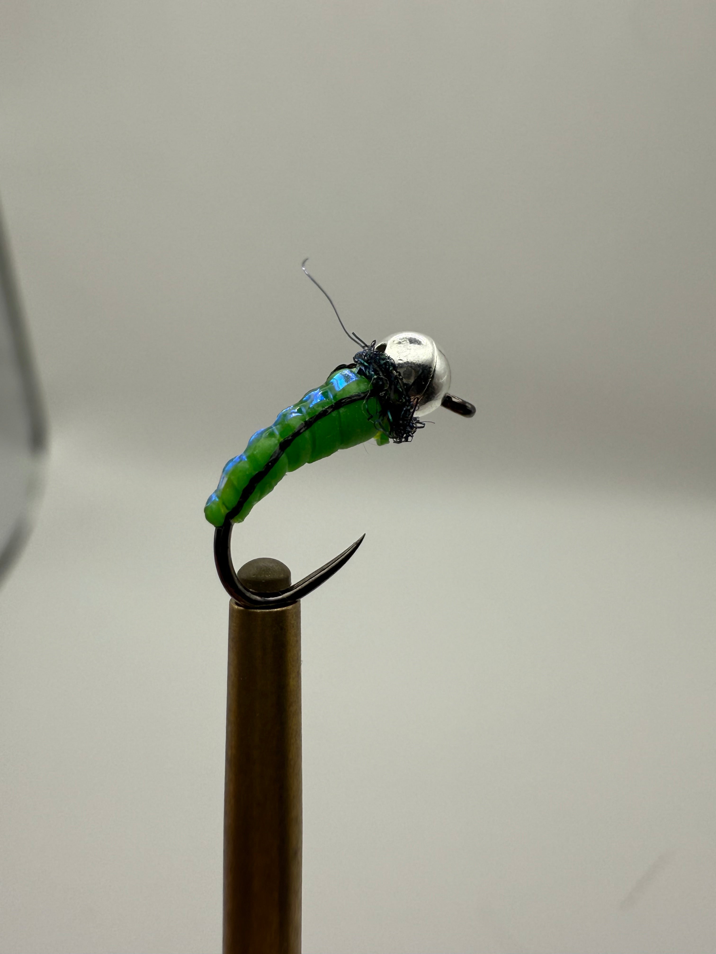 Hise classic caddis larvae